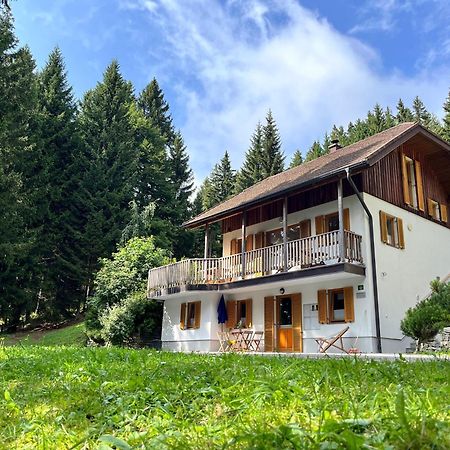 Chalet Harmony Rogla - Apartment 茨热塞 外观 照片