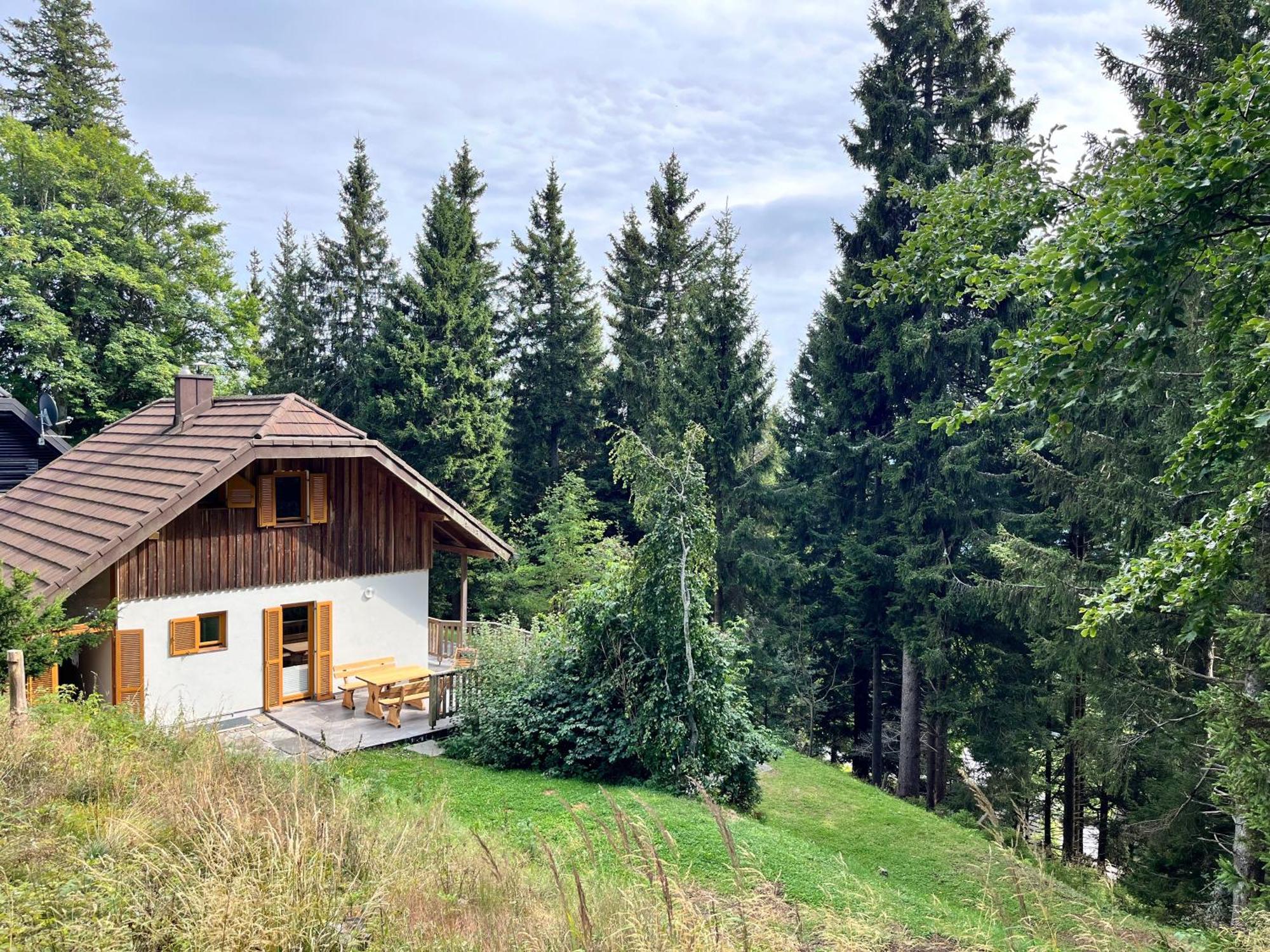 Chalet Harmony Rogla - Apartment 茨热塞 外观 照片