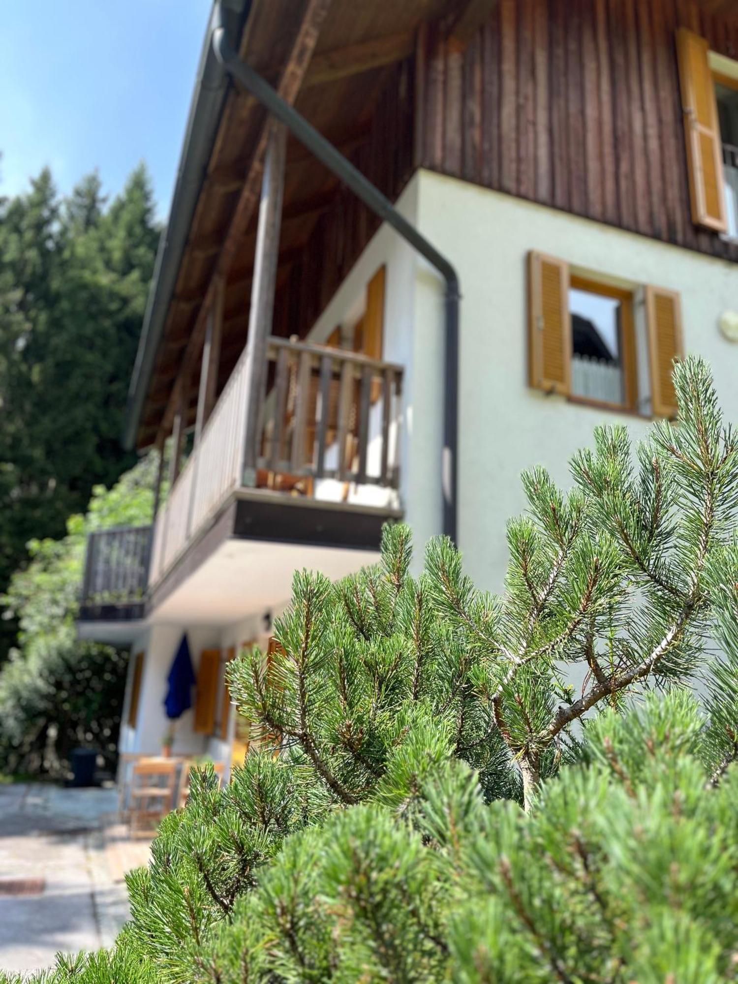 Chalet Harmony Rogla - Apartment 茨热塞 外观 照片